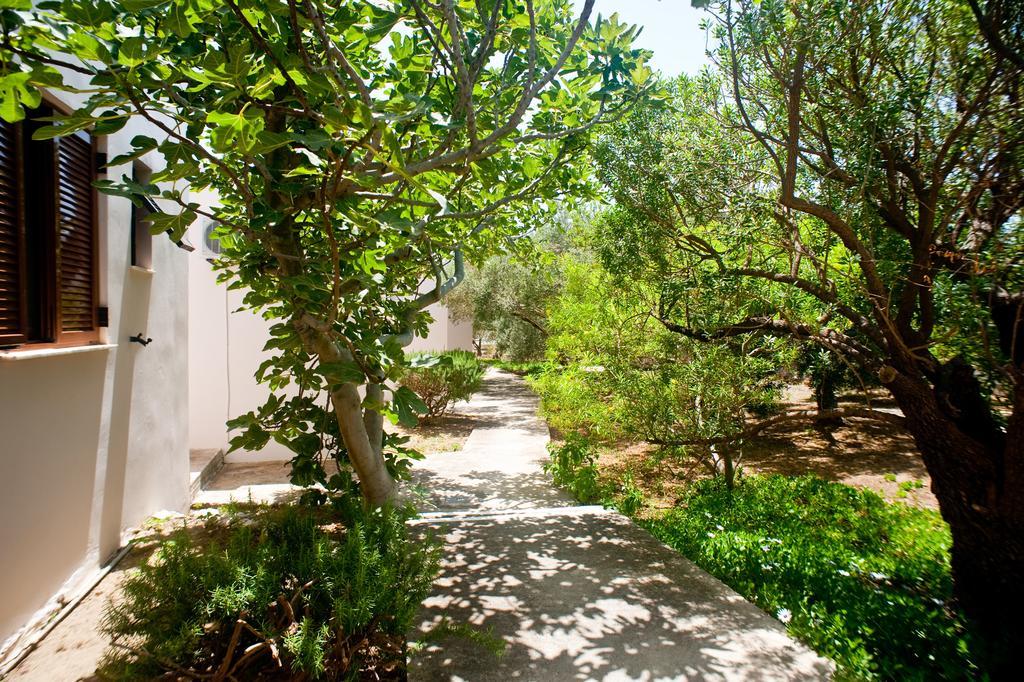 Dolphin Apartments Frangokastello Dış mekan fotoğraf